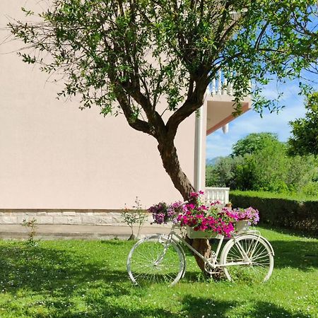 Apartman Dolcerosa Kotor Kültér fotó
