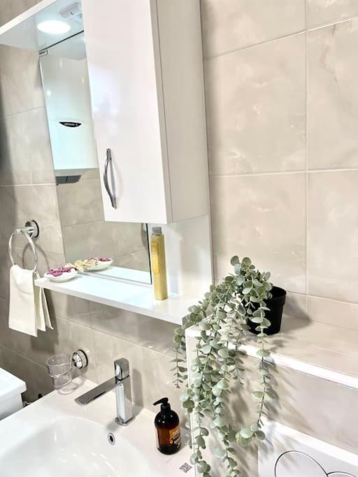Apartman Dolcerosa Kotor Kültér fotó
