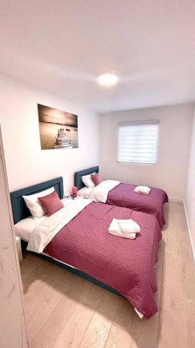 Apartman Dolcerosa Kotor Kültér fotó
