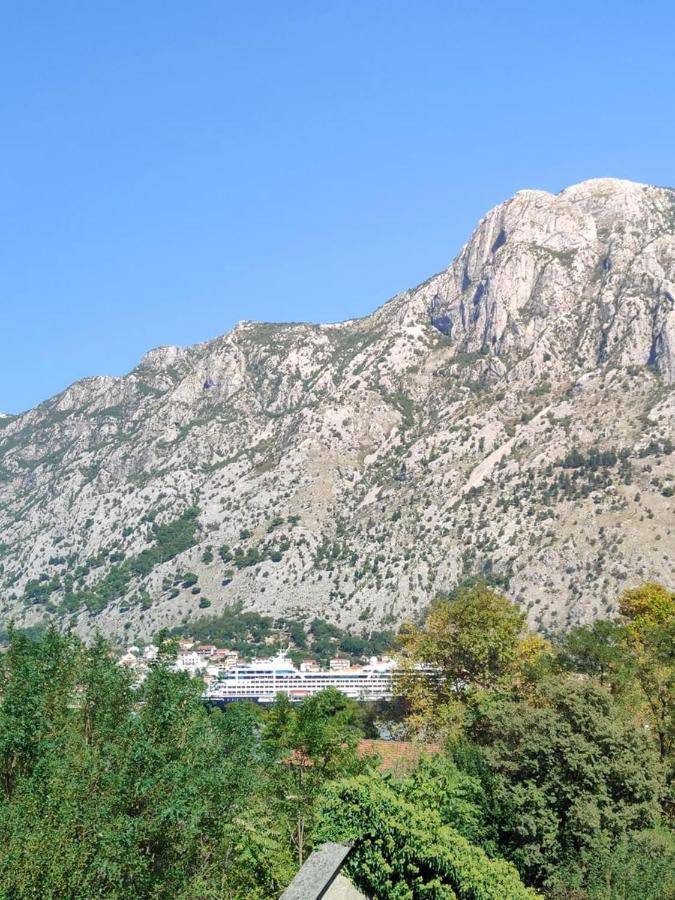Apartman Dolcerosa Kotor Kültér fotó
