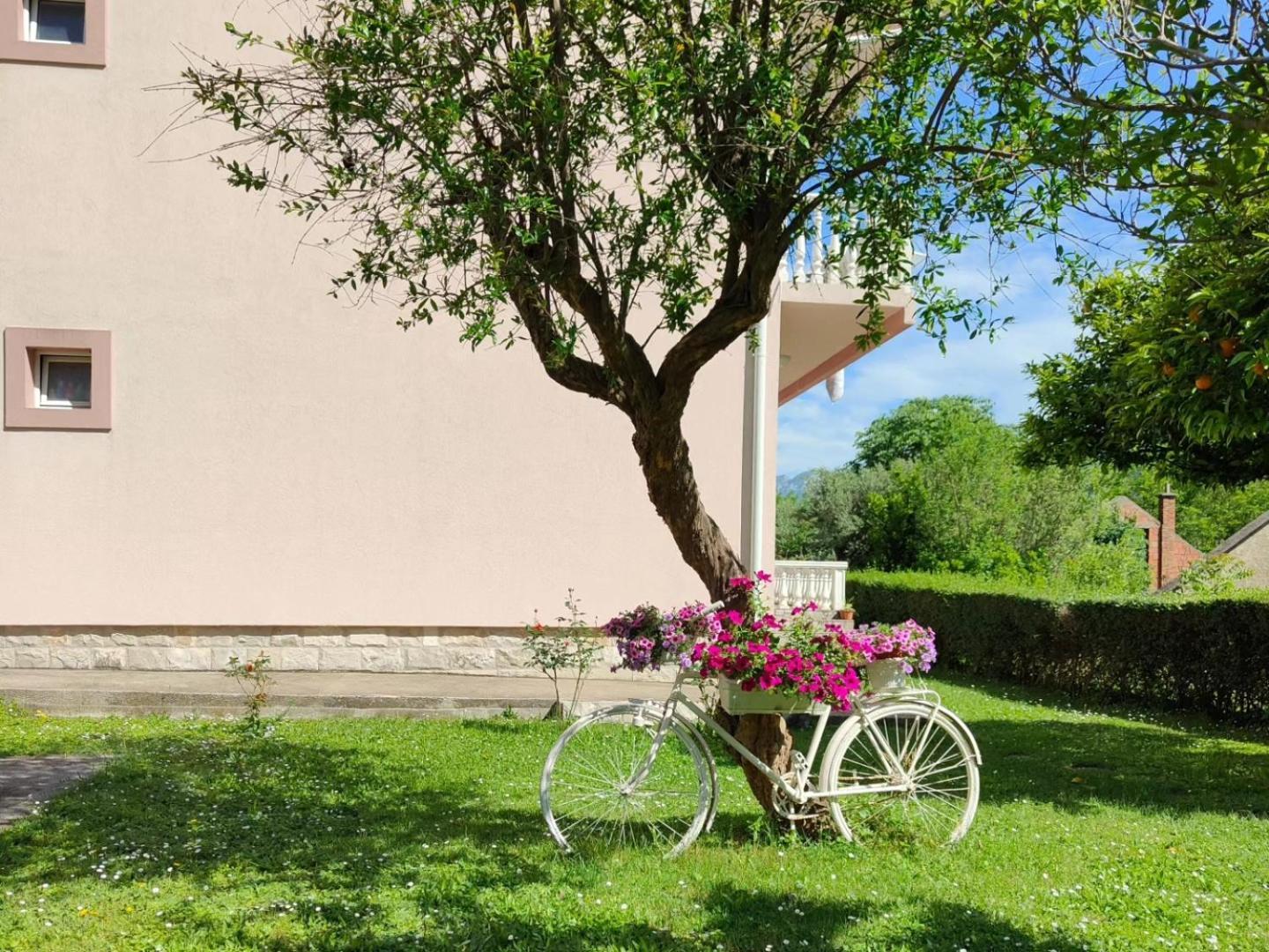 Apartman Dolcerosa Kotor Kültér fotó